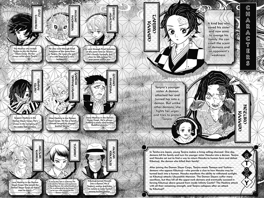 Demon Slayer Kimetsu Volume 23 Yaiba Japan Fantasy Science Mystery Suspense English Version Manga Comic Book